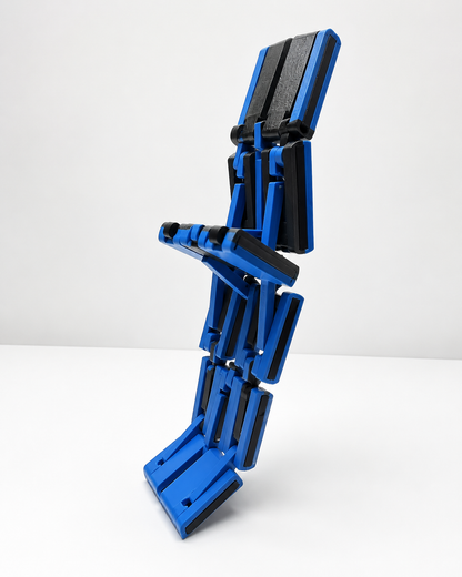 LADDER